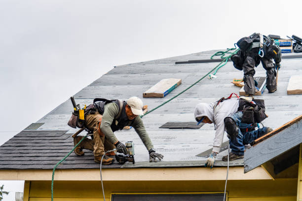 Professional Storm Damage Roof Repair technician working in Dawson, IL